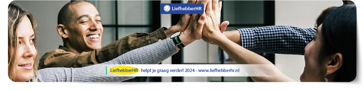 Waarom hiringmanagers kiezen voor standaard profielen?